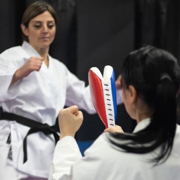 Taekwondo Clapper Target