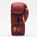 Guantoni Leone Idol | Futura Sport