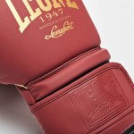 Guantoni Leone Idol | Futura Sport