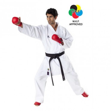 karategi Tokaido Master Kumite WKF